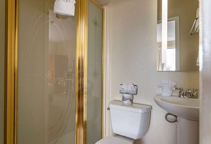 Fotos del hotel Comfort Suites Near Texas Medical Center  Nrg Stadium:  35