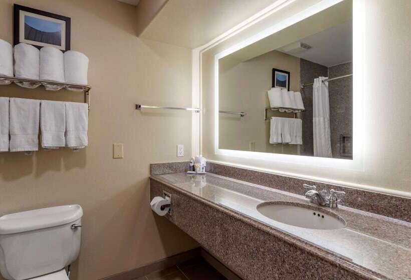 Fotos del hotel Comfort Suites Near Texas Medical Center  Nrg Stadium:  33