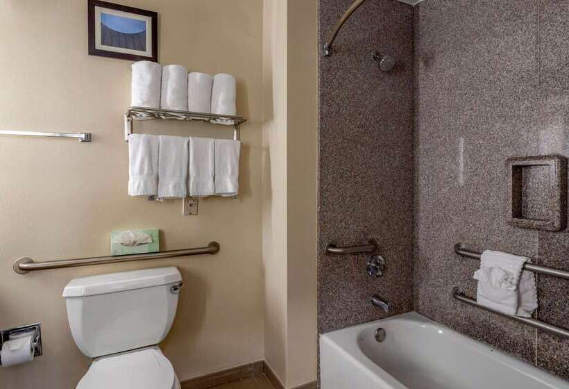 Fotos del hotel Comfort Suites Near Texas Medical Center  Nrg Stadium:  41