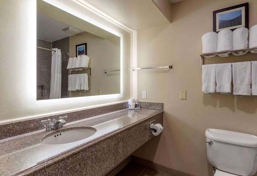 Fotos del hotel Comfort Suites Near Texas Medical Center  Nrg Stadium:  52