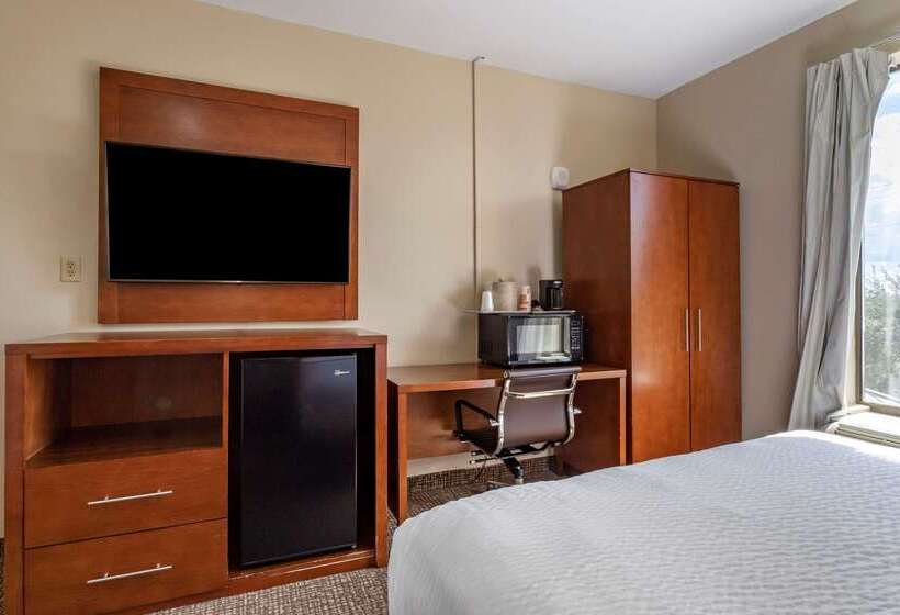 Fotos del hotel Comfort Suites Near Texas Medical Center  Nrg Stadium:  38