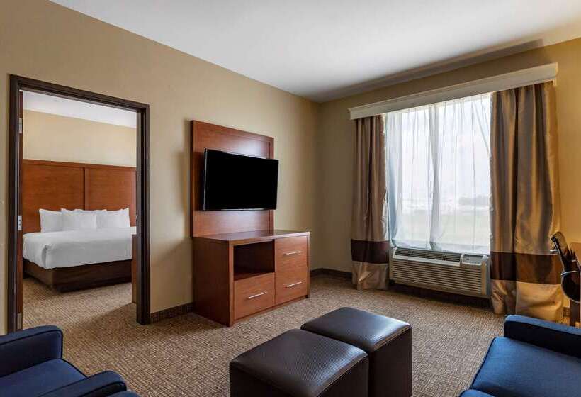Fotos del hotel Comfort Suites Near Texas Medical Center  Nrg Stadium:  23