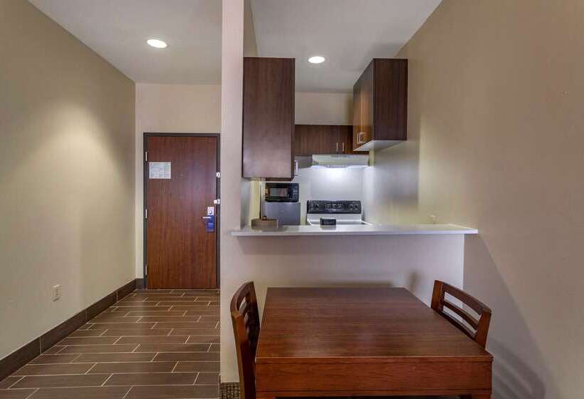 Fotos del hotel Comfort Suites Near Texas Medical Center  Nrg Stadium:  31