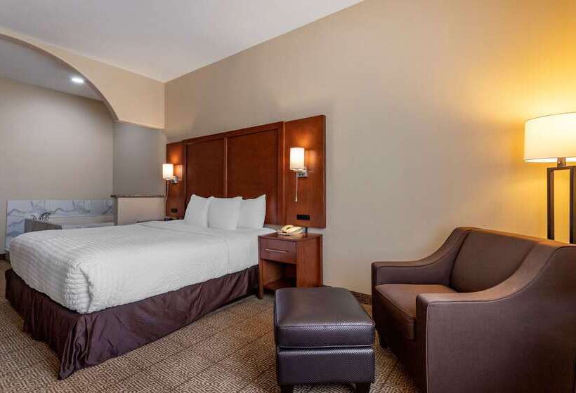 Fotos del hotel Comfort Suites Near Texas Medical Center  Nrg Stadium:  32