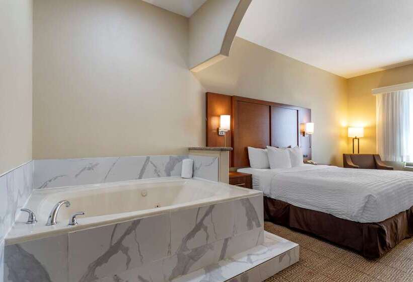 Fotos del hotel Comfort Suites Near Texas Medical Center  Nrg Stadium:  22