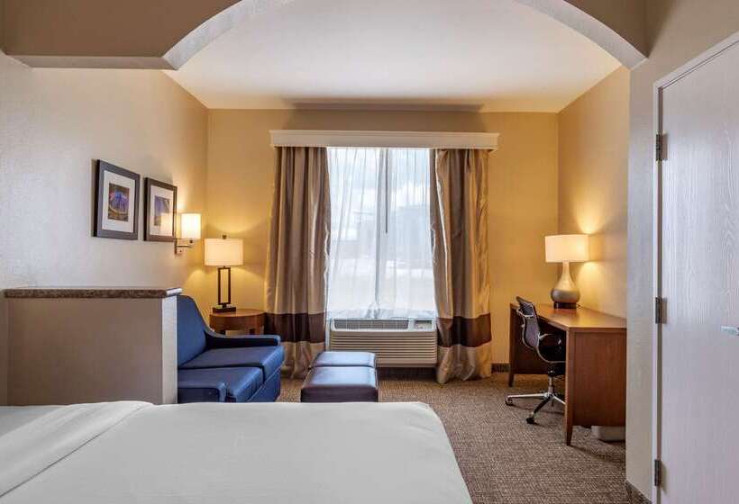 Fotos del hotel Comfort Suites Near Texas Medical Center  Nrg Stadium:  54