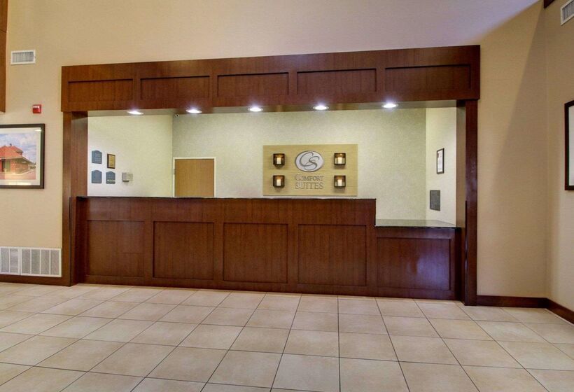 هتل Comfort Suites Tyler South