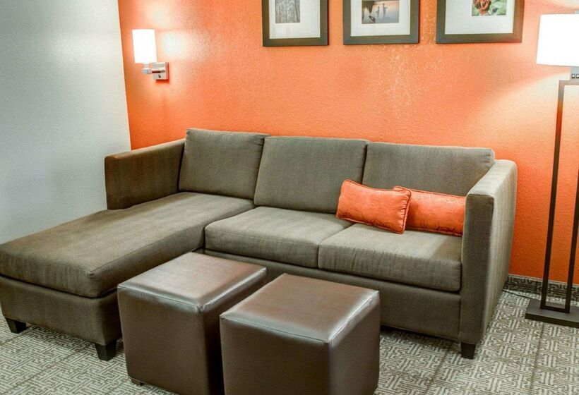 فندق Comfort Suites Tyler South