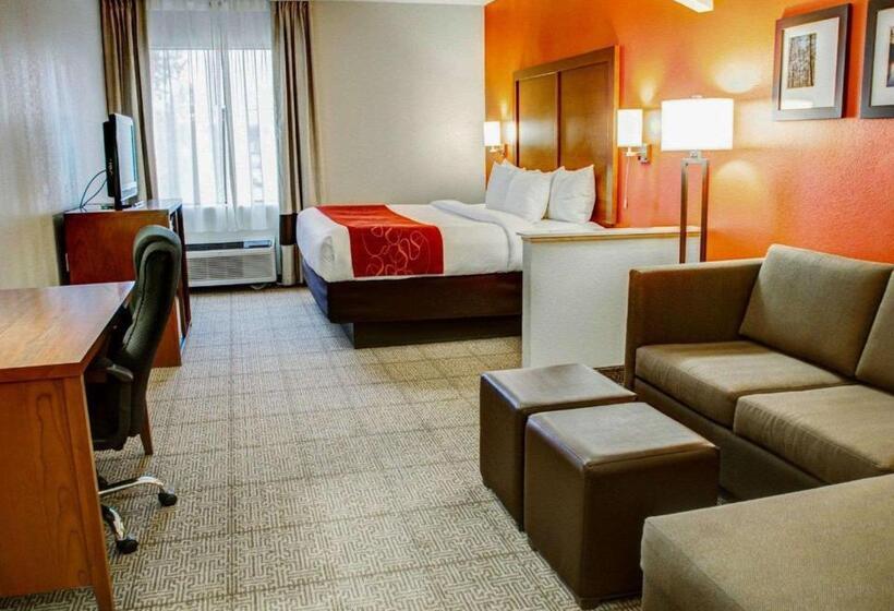 هتل Comfort Suites Tyler South