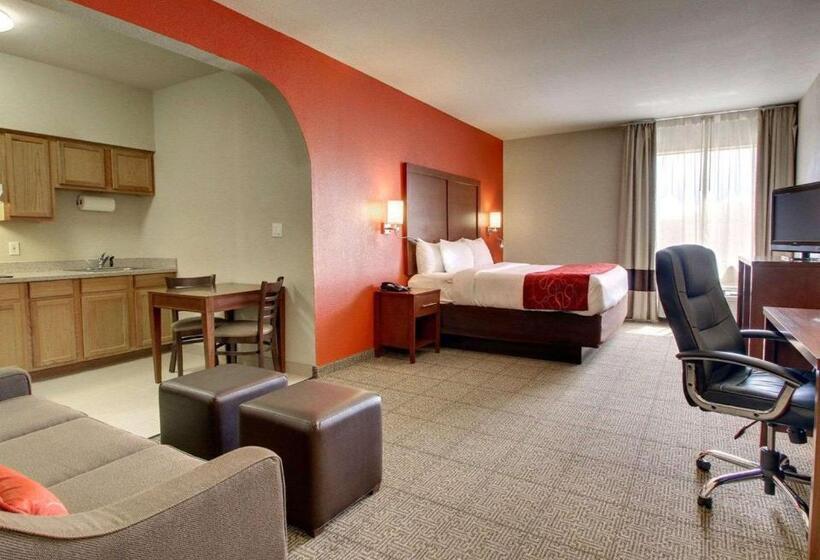 هتل Comfort Suites Tyler South
