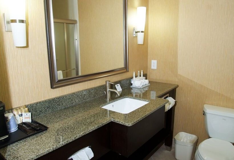 Hotel Holiday Inn Express  & Suites Clemson  University Area