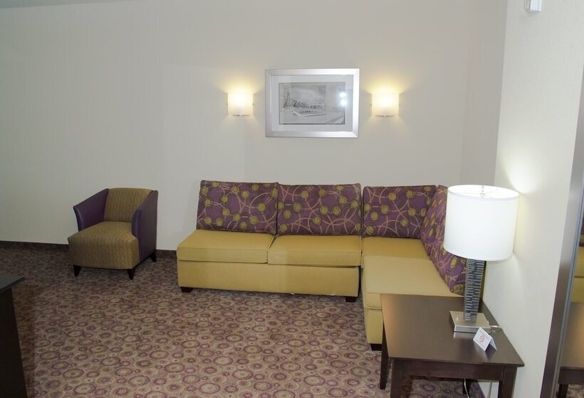 Hotel Holiday Inn Express  & Suites Clemson  University Area