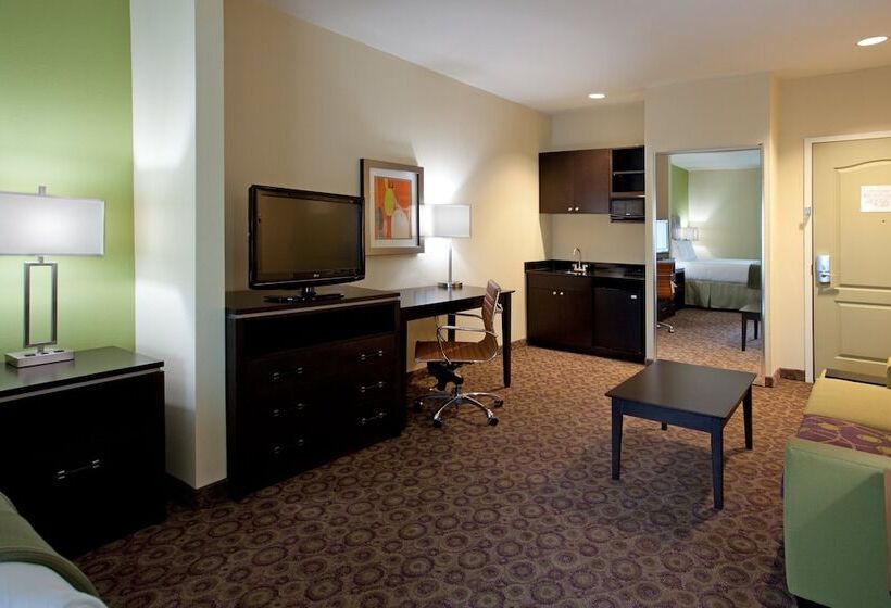 Hotel Holiday Inn Express  & Suites Clemson  University Area