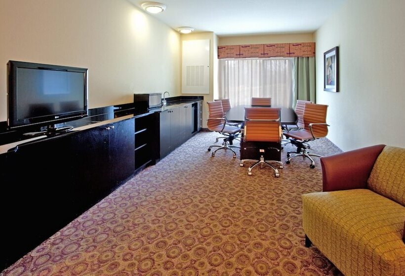 Hotel Holiday Inn Express  & Suites Clemson  University Area