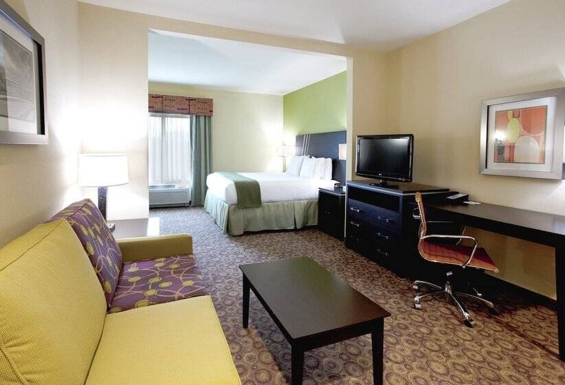 Hotel Holiday Inn Express  & Suites Clemson  University Area