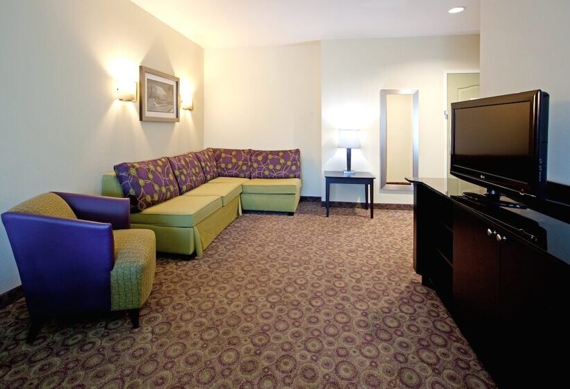 Hotel Holiday Inn Express  & Suites Clemson  University Area