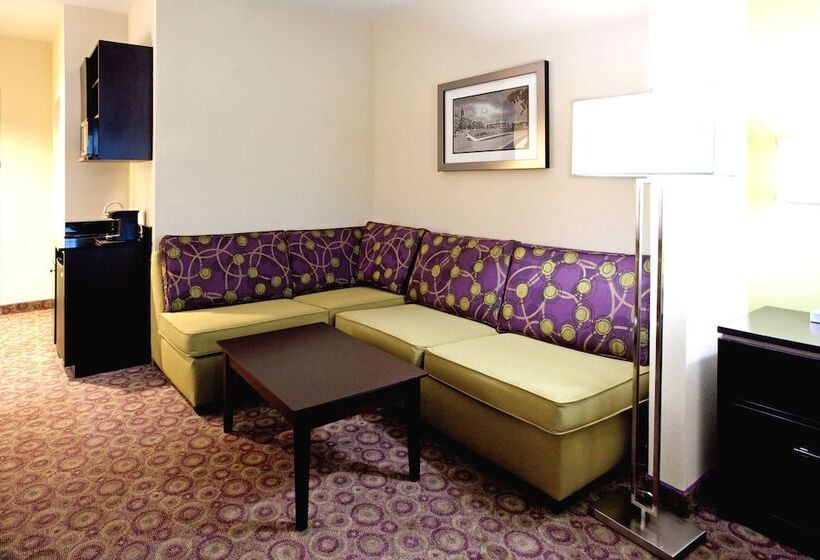 Hotel Holiday Inn Express  & Suites Clemson  University Area