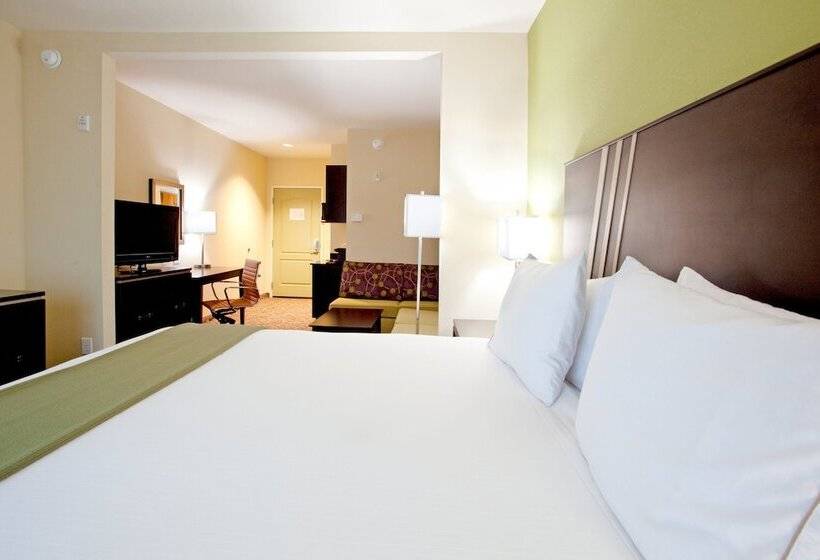 Hotel Holiday Inn Express  & Suites Clemson  University Area