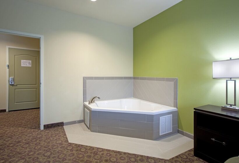 Hotel Holiday Inn Express  & Suites Clemson  University Area