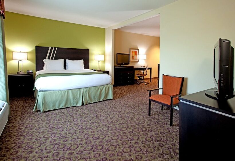 Hotel Holiday Inn Express  & Suites Clemson  University Area