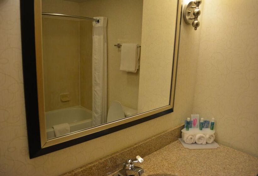 Отель Holiday Inn Express & Suites Lancaster By Ihg
