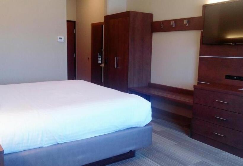 Fotos del hotel Holiday Inn Express & Suites  Miami, An Ihg:  6