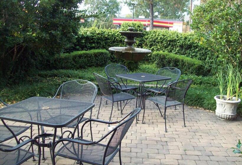 فندق Inn At Mulberry Grove