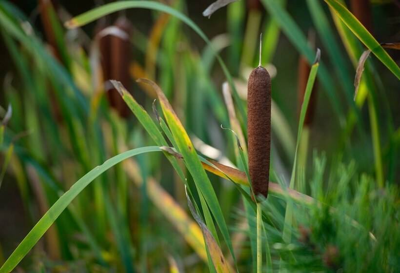 هتل Oshu Akiu Onsen Rantei