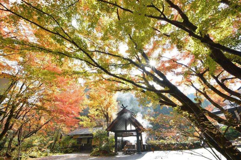 هتل Ryokan Okunoyu