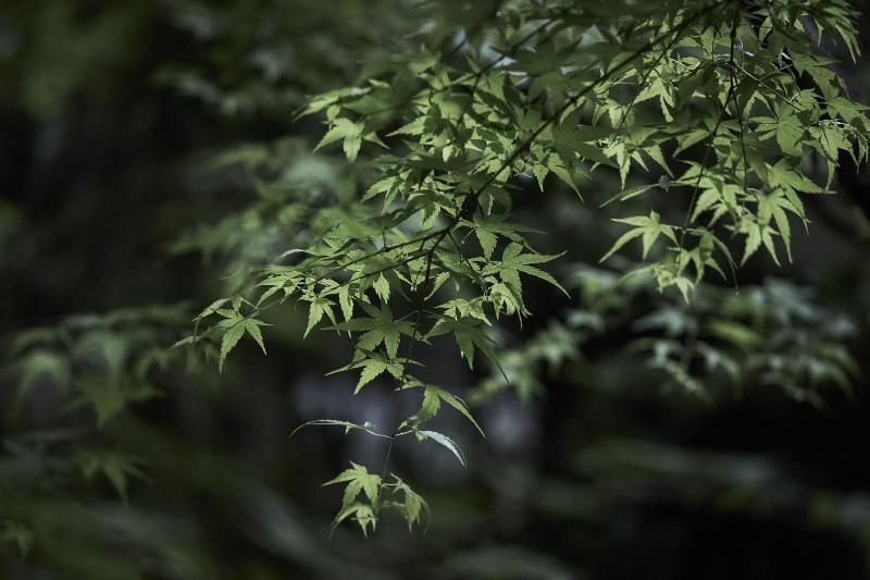 هتل Ryokan Okunoyu