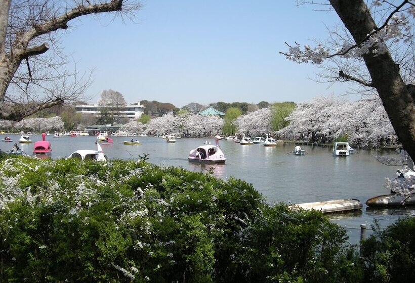 Fotos del hotel Ueno Terminal:  28