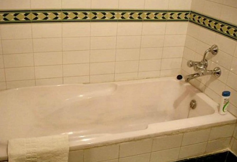 Fotos del hotel Hotel Vaibhav:  14