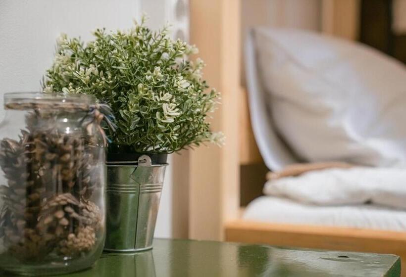 Downtown Forest Hostel & Camping