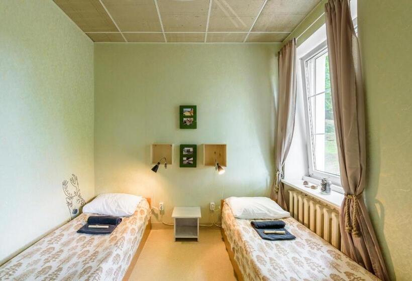 Downtown Forest Hostel & Camping