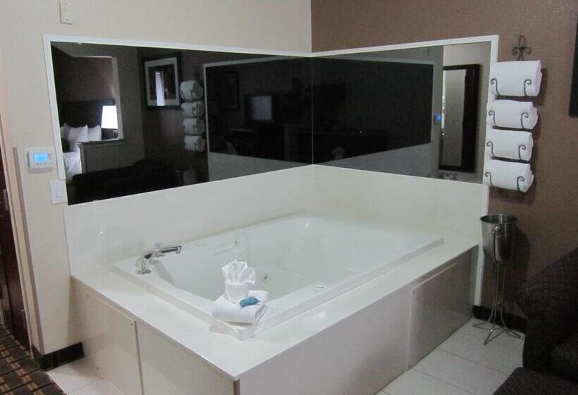 هتل Best Western Plus Cutting Horse Inn & Suites