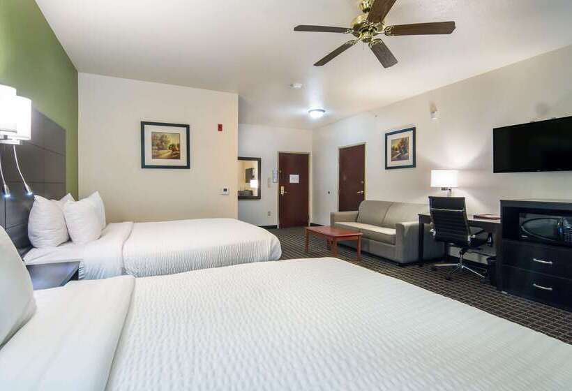 هتل Clarion Inn & Suites Weatherford South