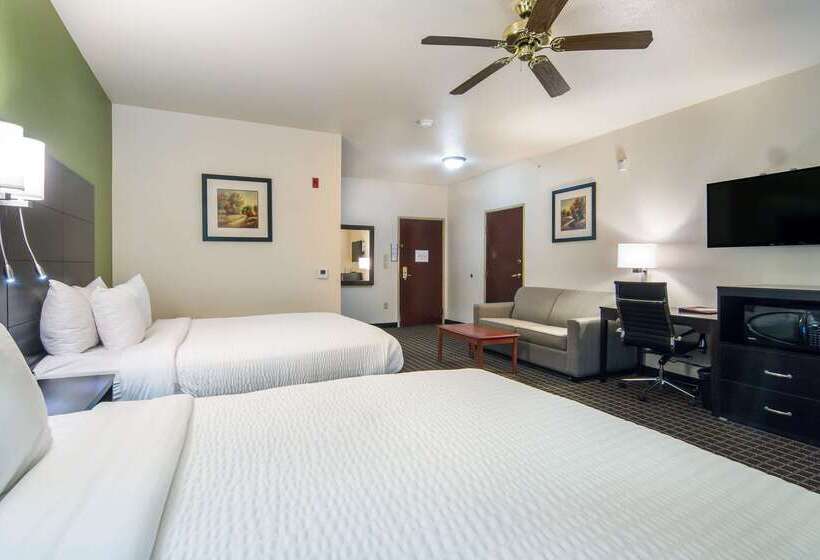 Hotel Clarion Inn & Suites Weatherford South