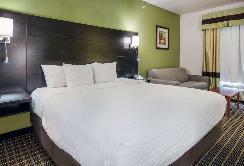 هتل Clarion Inn & Suites Weatherford South