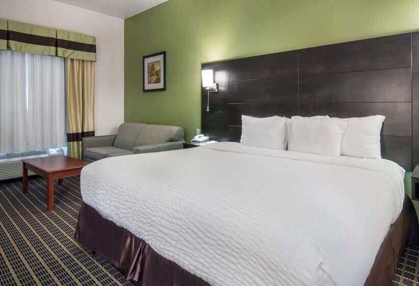 هتل Clarion Inn & Suites Weatherford South