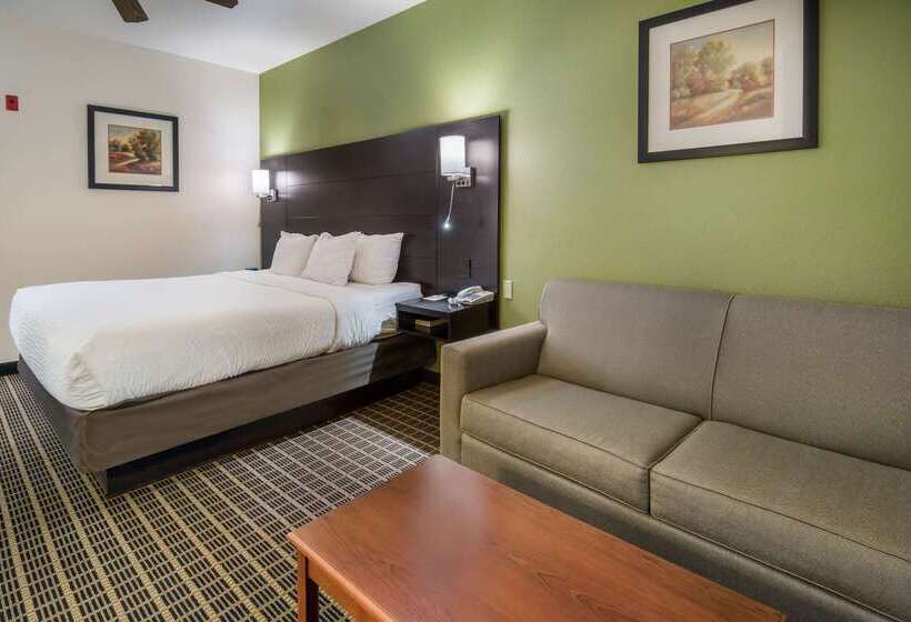هتل Clarion Inn & Suites Weatherford South