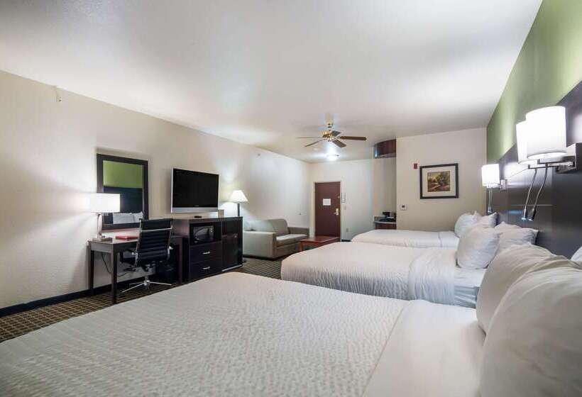 هتل Clarion Inn & Suites Weatherford South