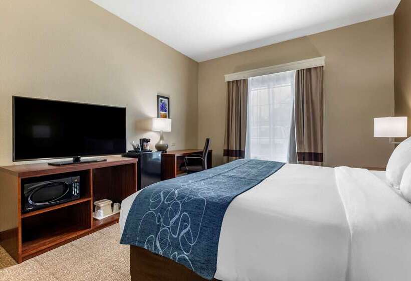 Отель Comfort Inn & Suites Paris