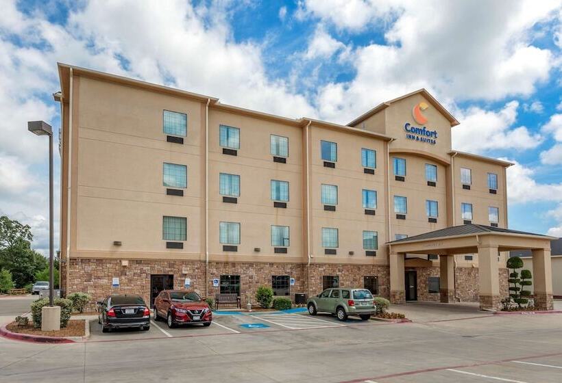 酒店 Comfort Inn & Suites Paris