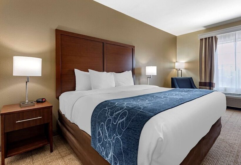 Отель Comfort Inn & Suites Paris