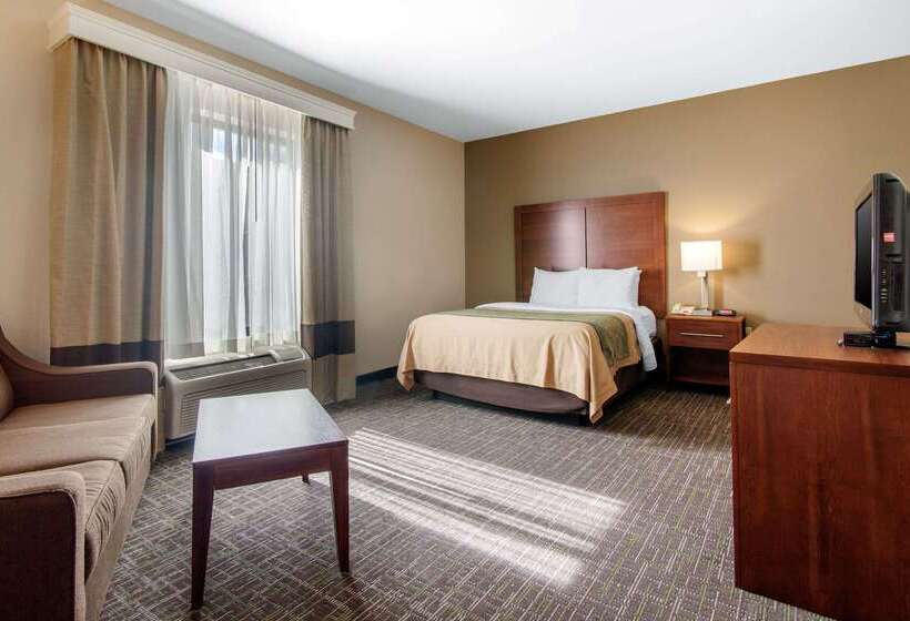 בית מלון כפרי Comfort Inn & Suites Norman Near University