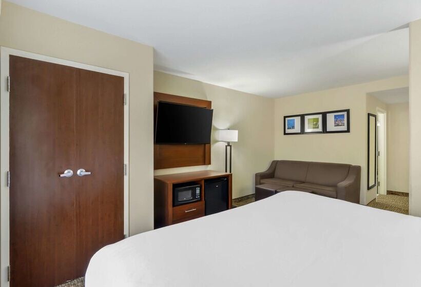 هتل Comfort Suites At Kennesaw State University