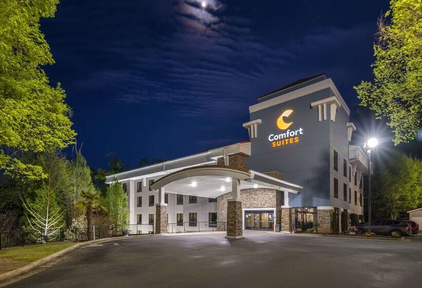 هتل Comfort Suites At Kennesaw State University