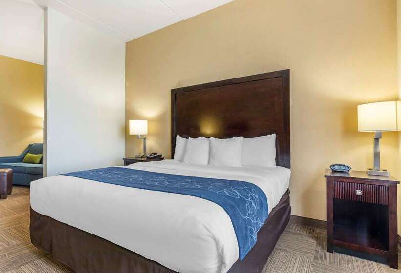 هتل Comfort Suites Frisco