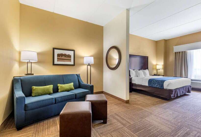 هتل Comfort Suites Frisco