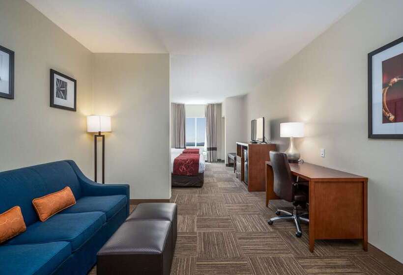 בית מלון כפרי Comfort Suites University